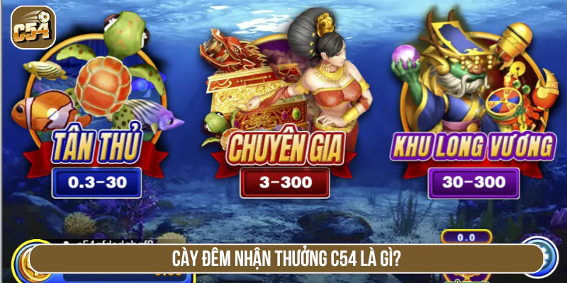 Cày đêm nhận thưởng C54 là gì?