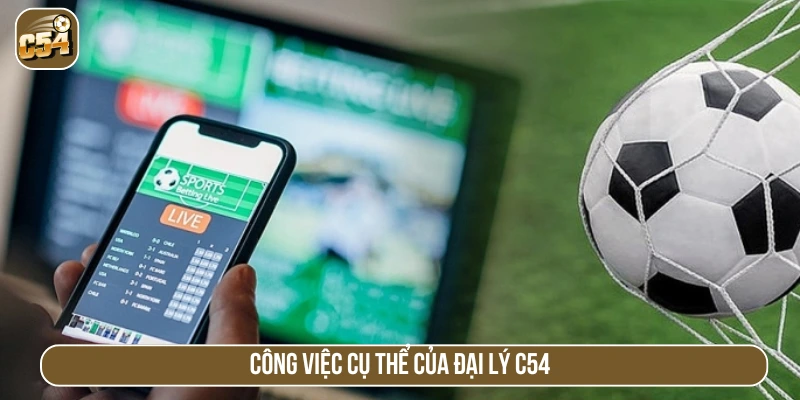 Công việc của đại lý tại C54