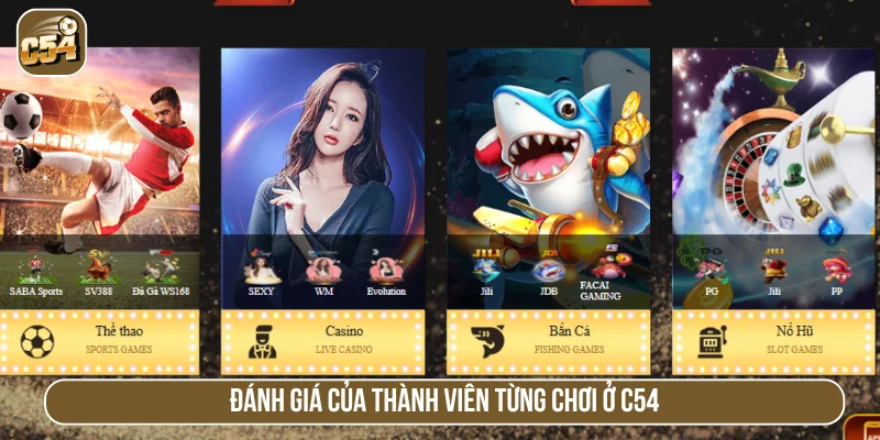 Cảm nhận của người chơi khi cá cược cùng C54 