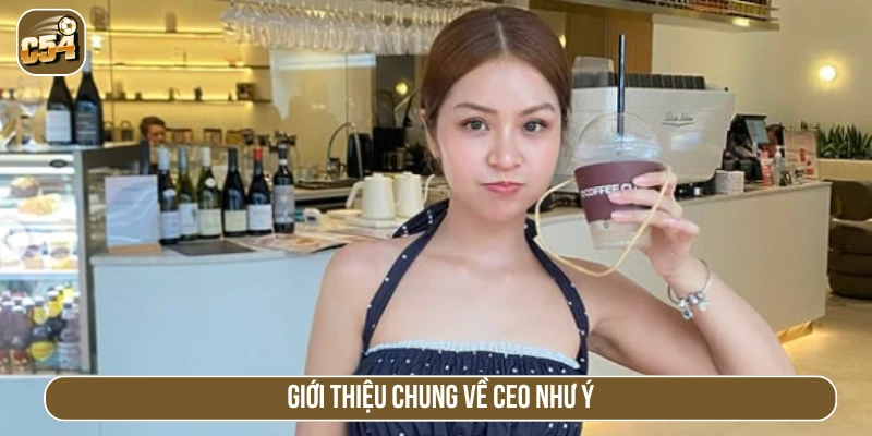 Giới thiệu CEO Như Ý 