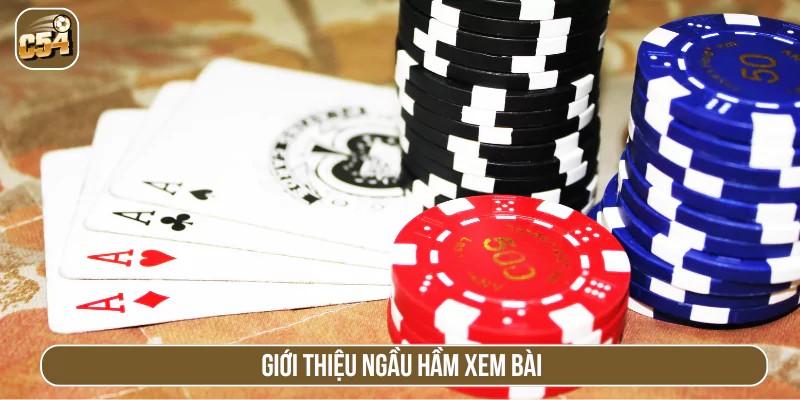 Giới thiệu Ngầu hầm xem bài