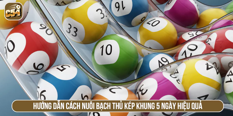 Hướng dẫn cách nuôi bạch thủ kép khung 5 ngày hiệu quả