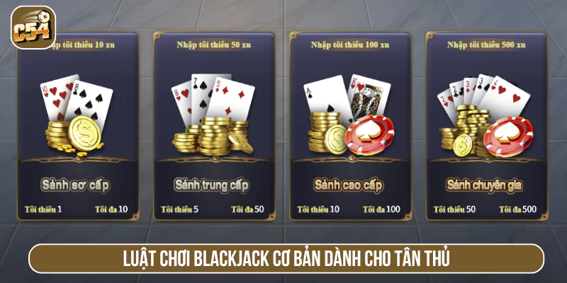 Luật chơi Blackjack cơ bản dành cho tân thủ