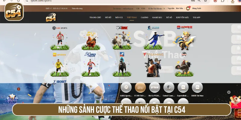 Những sảnh cược thể thao nổi bật tại C54