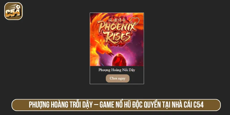 Phượng hoàng trỗi dậy