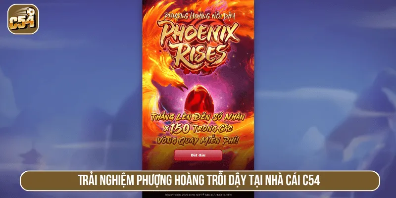 Trải nghiệm Phượng hoàng trỗi dậy tại nhà cái C54